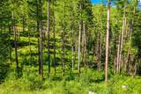 Nhn Pattee Canyon Road - Photo 15