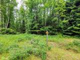 13727 Big Hawk Drive - Photo 22