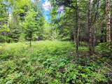 13727 Big Hawk Drive - Photo 30