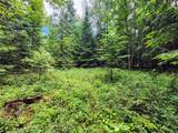 13727 Big Hawk Drive - Photo 31