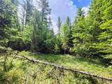 13727 Big Hawk Drive - Photo 4