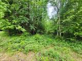 13727 Big Hawk Drive - Photo 8