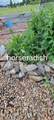 3333 Middle Road - Photo 72
