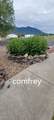 3333 Middle Road - Photo 73