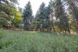 110 Murray Avenue - Photo 10