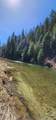 818 Lake Creek Road - Photo 7