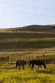 8925 Lavalle Creek Road - Photo 67