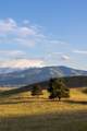 8925 Lavalle Creek Road - Photo 88