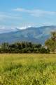 8925 Lavalle Creek Road - Photo 93
