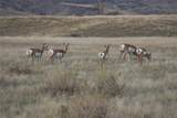 NHN Old Town Road - Photo 12