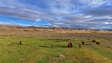 NHN Old Town Road - Photo 31