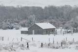 NHN Old Town Road - Photo 38