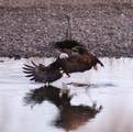 NHN Old Town Road - Photo 39