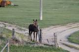 NHN Old Town Road - Photo 40
