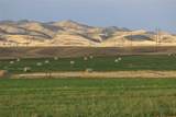 NHN Old Town Road - Photo 6