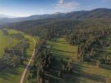 31200 Ninemile Road - Photo 8