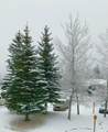 3889 Big Mountain Road - Photo 51