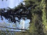 360 Valley Drive - Photo 40