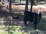360 Valley Drive - Photo 6