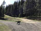 360 Valley Drive - Photo 66