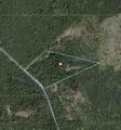 15633 North Fork Road - Photo 47