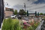 119 & 127 Alder Street - Photo 20