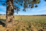 2905 Farm To Market Road - Photo 12