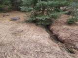 00 Northwood Road - Photo 27