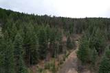 TBD Bent Pine Lane - Photo 3