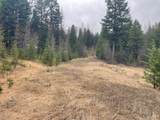 TBD Bent Pine Lane - Photo 4