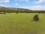 115 Marion Meadows Trail - Photo 4