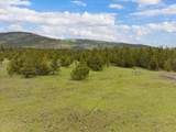 115 Marion Meadows Trail - Photo 6