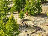 301 Haskill Ranch Road - Photo 11