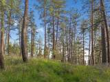 NHN Finley Point Road - Photo 12