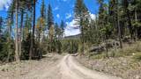 NHN Eagle Rock Road - Photo 21