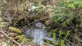 NHN Eagle Rock Road - Photo 23