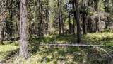 NHN Eagle Rock Road - Photo 28