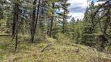 NHN Eagle Rock Road - Photo 31