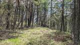 NHN Eagle Rock Road - Photo 34