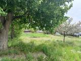 240 Daly Avenue - Photo 1