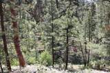 6 Pine Coulee Lane - Photo 35