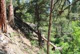 6 Pine Coulee Lane - Photo 37
