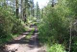 6 Pine Coulee Lane - Photo 45