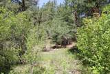 6 Pine Coulee Lane - Photo 46