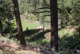 6 Pine Coulee Lane - Photo 48