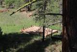 6 Pine Coulee Lane - Photo 49