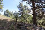 6 Pine Coulee Lane - Photo 8