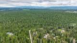 297 Moose Trail - Photo 8