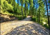 Nhn Hope Valley Road - Photo 8