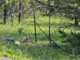 28341 Yaak River Road - Photo 10